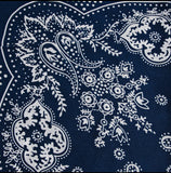 Paisley Bandana Scarf